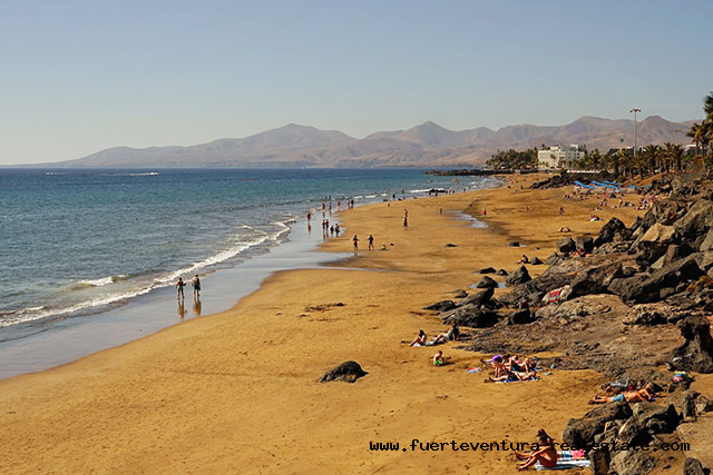 We sell comercial investment properties such as hoteles and tourist apartment complexes on Fuerteventura & Lanzarote