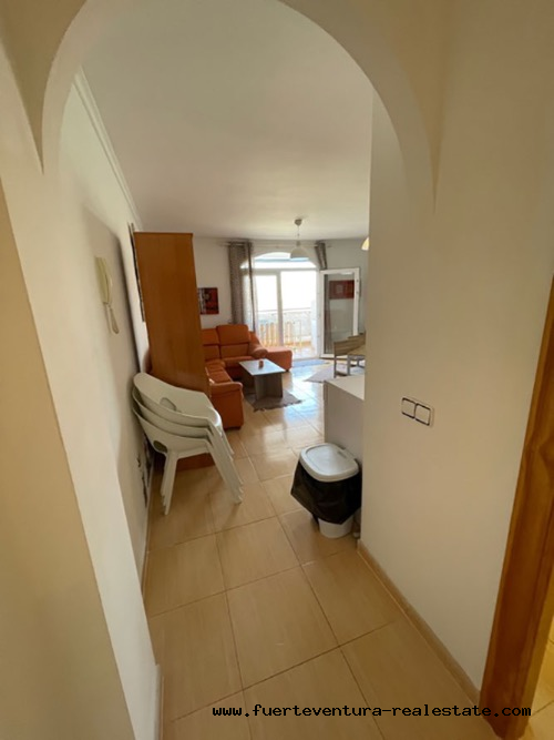 Nous louons un très bel appartement à Puerto Lajas Fuerteventura