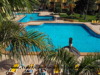 Te koop! Mooi appartement in Corralejo met gemeenschappelijk zwembad