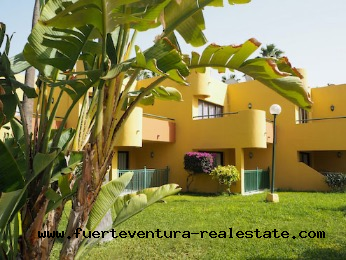 Im Verkauf! Schöne Wohnung in Corralejo mit Gemeinschaftspool