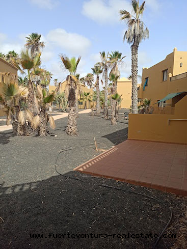 For sale! Apartments in the Oasis Tamarindo II complex, located in the town of Corralejo.