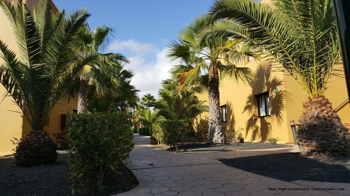 For sale! Apartment in the residential complex Oasis Papagayo