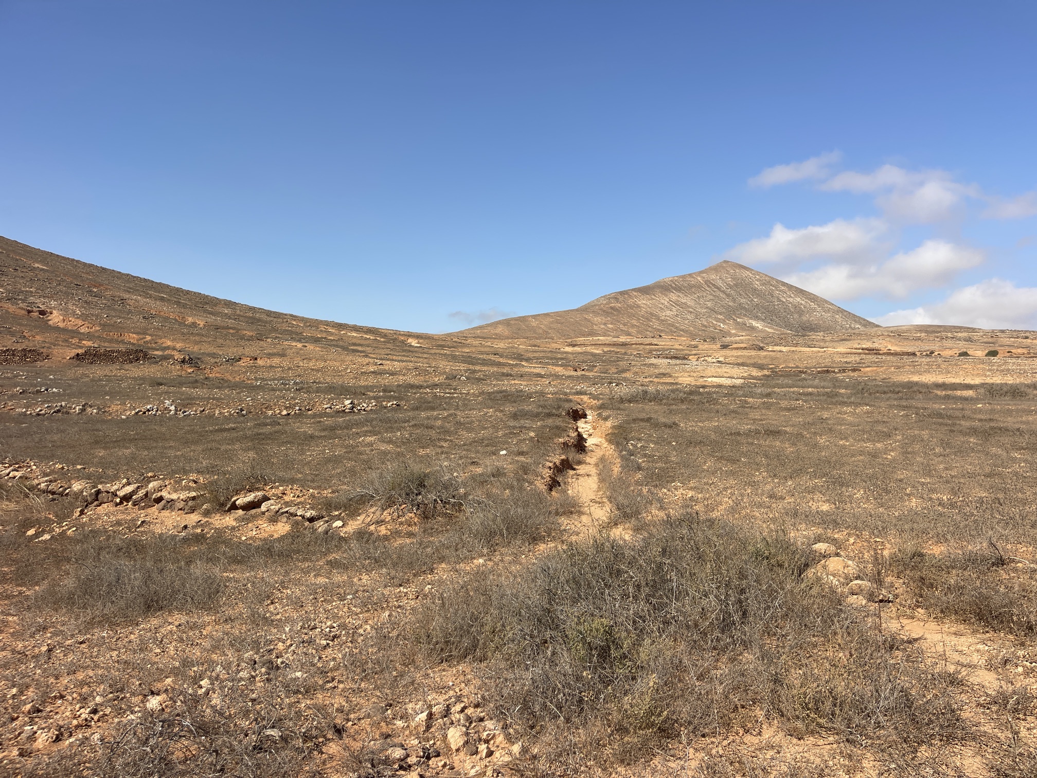 Rustic Agricultural Plot with Building Potential for Sale in La Caldereta